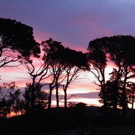 Villa Aigues Vives Boutenac Εξωτερικό φωτογραφία