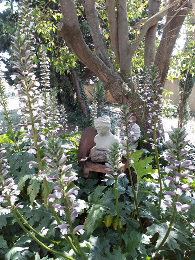 Villa Aigues Vives Boutenac Εξωτερικό φωτογραφία