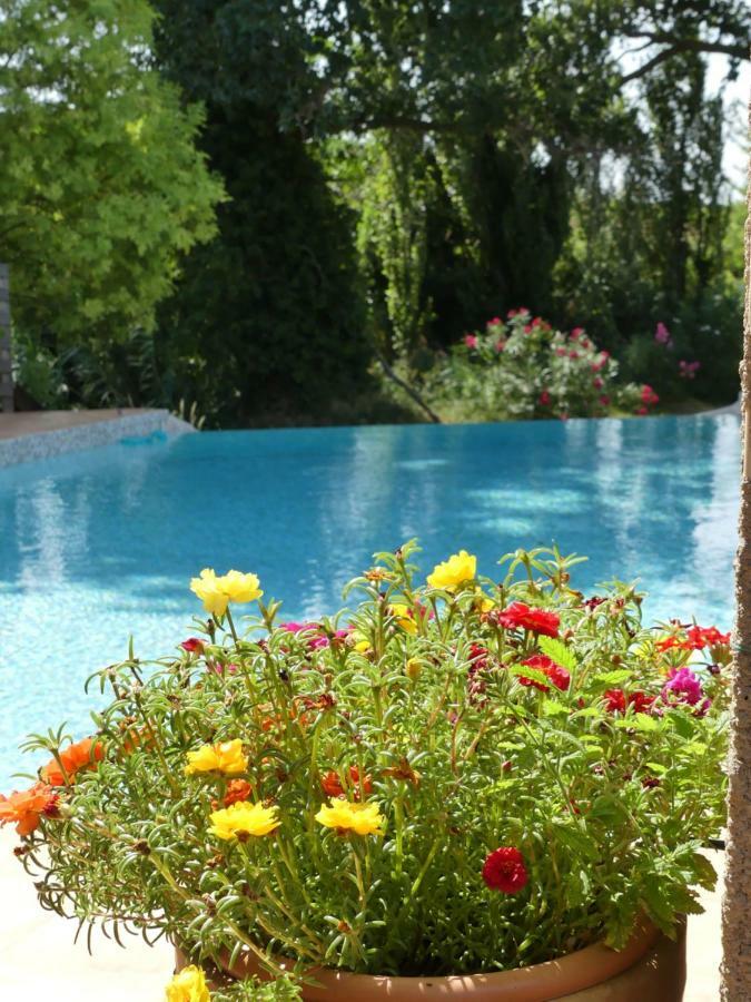 Villa Aigues Vives Boutenac Εξωτερικό φωτογραφία
