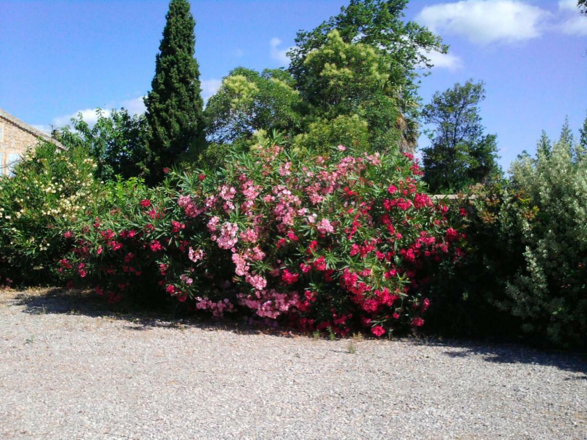 Villa Aigues Vives Boutenac Εξωτερικό φωτογραφία