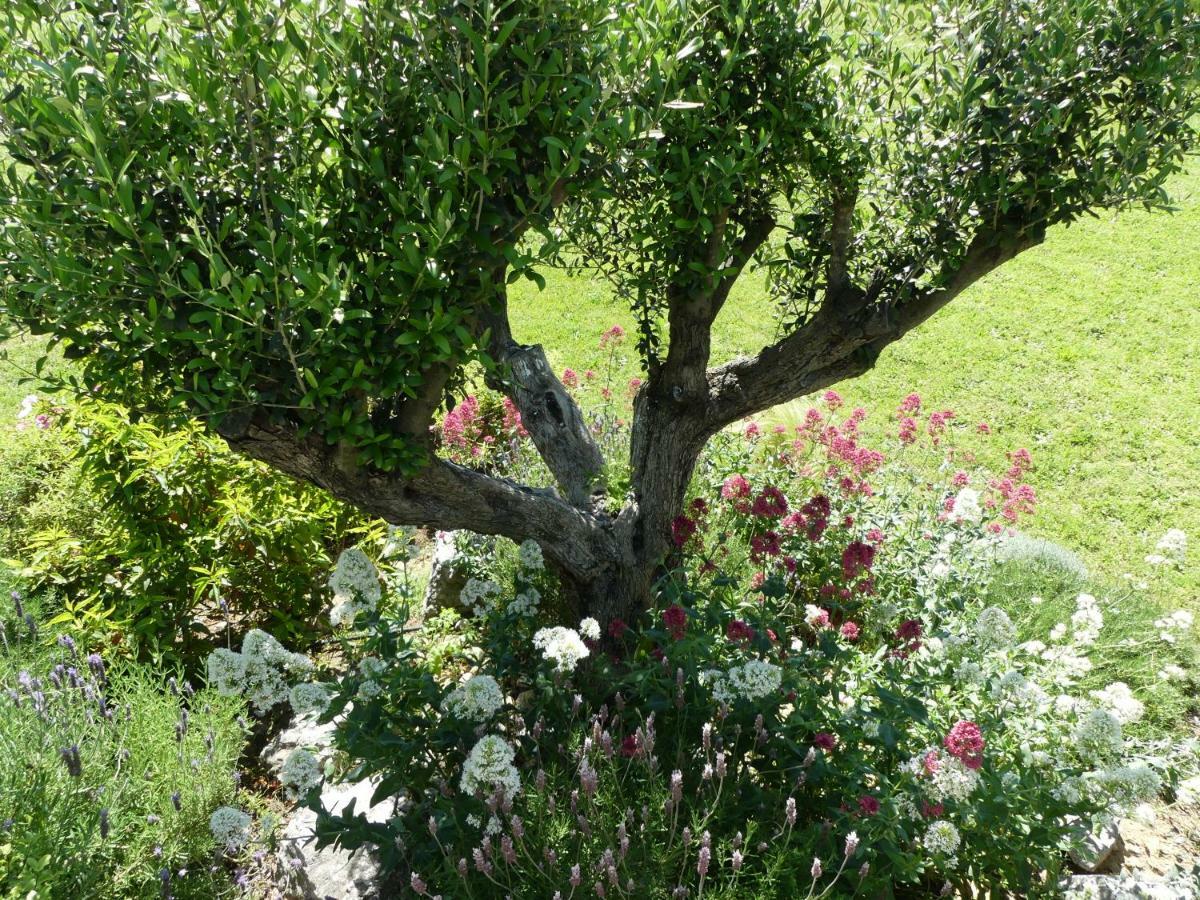Villa Aigues Vives Boutenac Εξωτερικό φωτογραφία